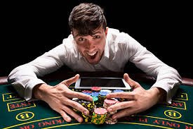 Mobile sports and casino browsing experience inside bd 64 app interface